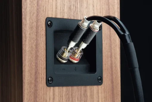 Pro-Ject Speaker Box 5 S2 - Afbeelding 3