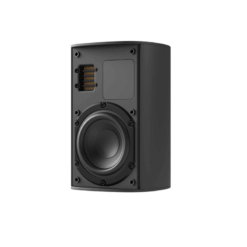 Piega Ace 30 Wireless (RX+TX) Zwart