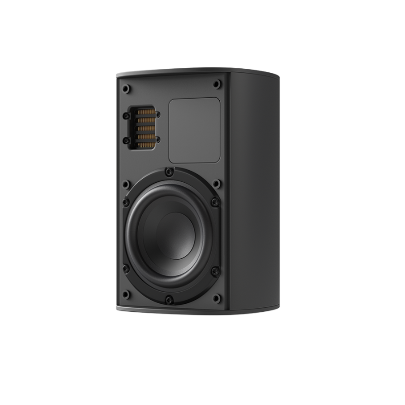 Piega Ace 30 Wireless (RX+TX) Zwart