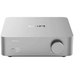 WiiM Vibelink Amp zilver